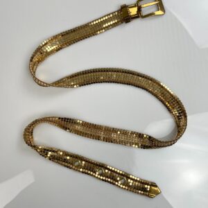 Photo detail:RAD! *AS-IS* 1970S BRASS SKINNY SLINKY CHAINMAIL MESH BELT