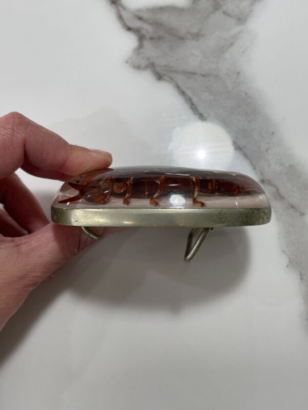 SCORPION RESIN AND SILVER BELT BUCKLE MADE IN MEXICO
