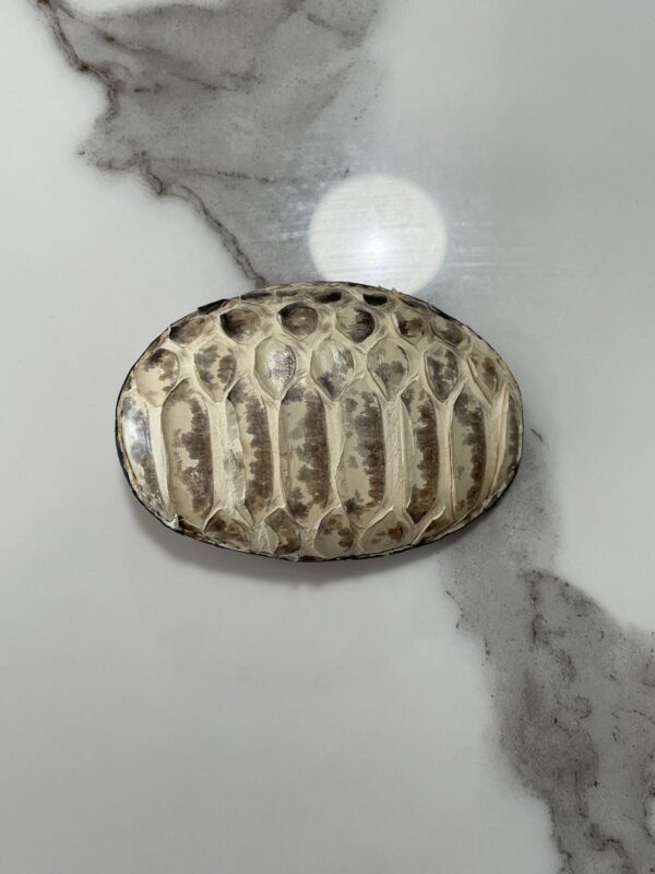 AUTHENTIC SNAKE SKIN WRAPPED LEATHER BELT BUCKLE