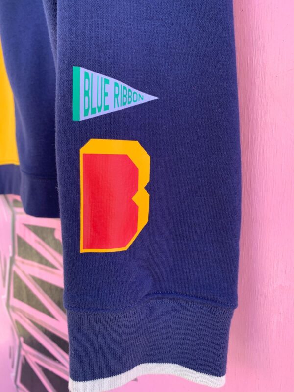 COLORBLOCK EMBROIDERED NIKE PULLOVER SWEATSHIRT