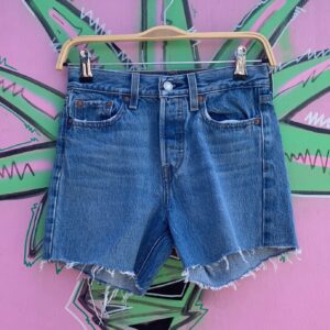 Photo detail:CLASSIC WASH "WEDGIE" FIT CUT OFF DENIM SHORTS