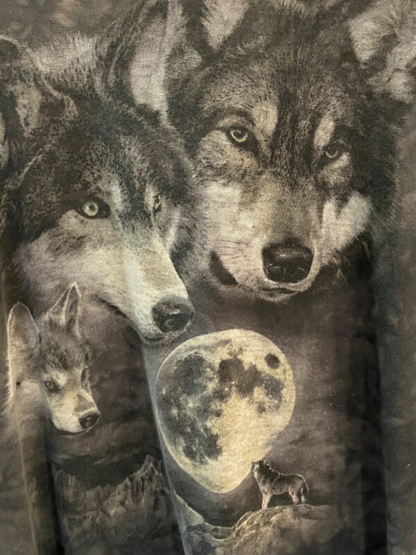 AS-IS HOWLING WOLF PACK MOON CANYON GRAPHIC FADED MINERAL WASH T SHIRT