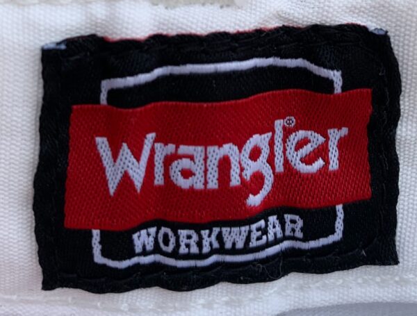 WRANGLER PAINTER PANTS