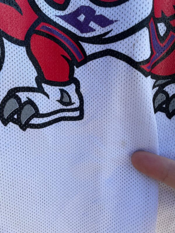 NBA TORONTO RAPTORS #20 STOUDAMIRE BSKETBALL JERSEY