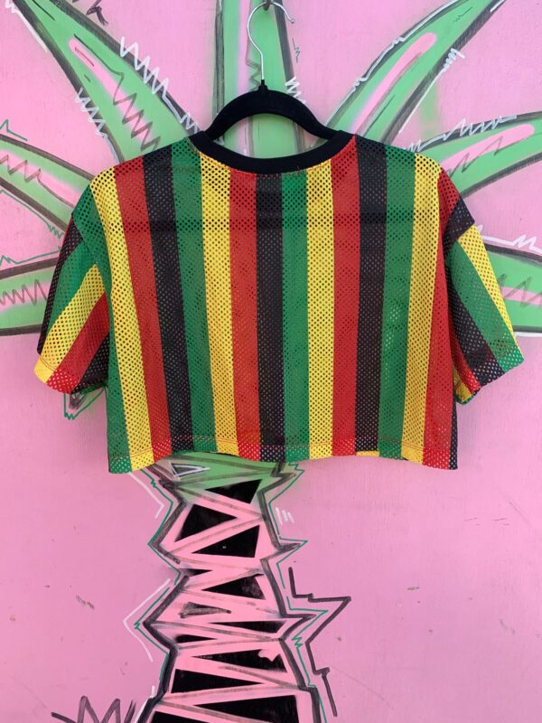 CUTE! CROPPED VERTICAL STRIPED RASTA MESH JERSEY RINGER TOP