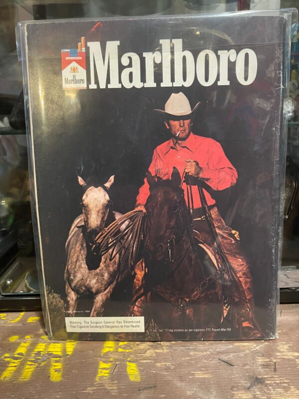 PLAYBOY MAGAZINE SEPTEMBER 1984 GIRLS OF THE BIG 10