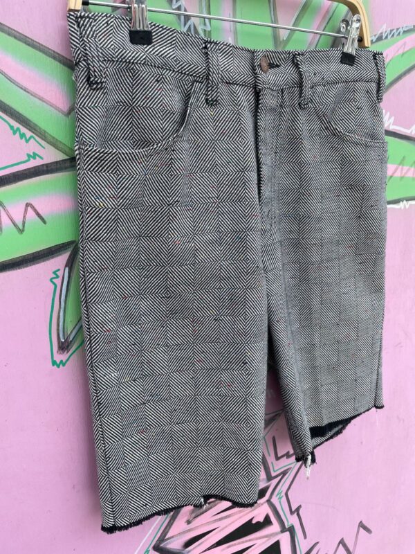 THE F#CKING COOLEST!!! BIG E LEVIS LINED GEOMETRIC WOVEN CUT OFF PANTS