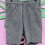 THE F#CKING COOLEST!!! BIG E LEVIS LINED GEOMETRIC WOVEN CUT OFF PANTS