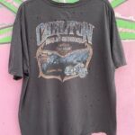 PERFECTLY DISTRESSED HARLEY DAVIDSON FAT BOY GRAPHIC T-SHIRT CARLTON MARTURA OHIO