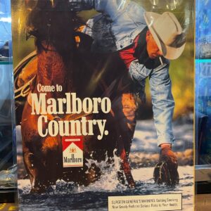 playboy PLAYBOY MAGAZINE APRIL 1994 GIRLS OF HOOTERS AND HOWARD STERN INTERVIEW in YELLOW, WHITE, RED