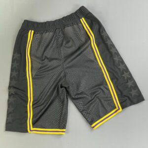 NIKE BLACK MAMBA KOBE LAKERS CITY EDITION NBA BASKETBALL SHORTS 2020 in BLACK, YELLOW, PURPLE