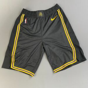 NIKE BLACK MAMBA KOBE LAKERS CITY EDITION NBA BASKETBALL SHORTS 2020 in BLACK, YELLOW, PURPLE