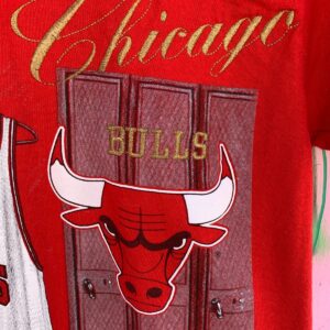 NUTMEG CHICAGO BULLS T-SHIRT METALLIC EMBROIDERY SINGLE STITCH SMALL FIT in RED
