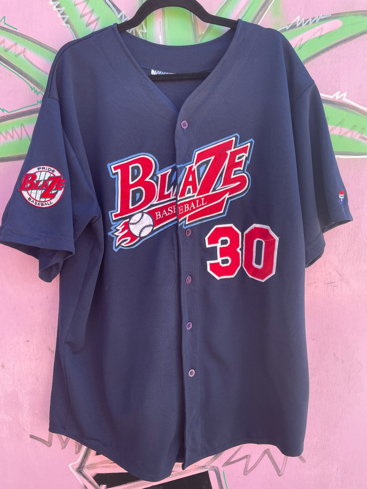 BLAZE BASEBALL #30 BUTTON UP EMBROID in BLUE, RED