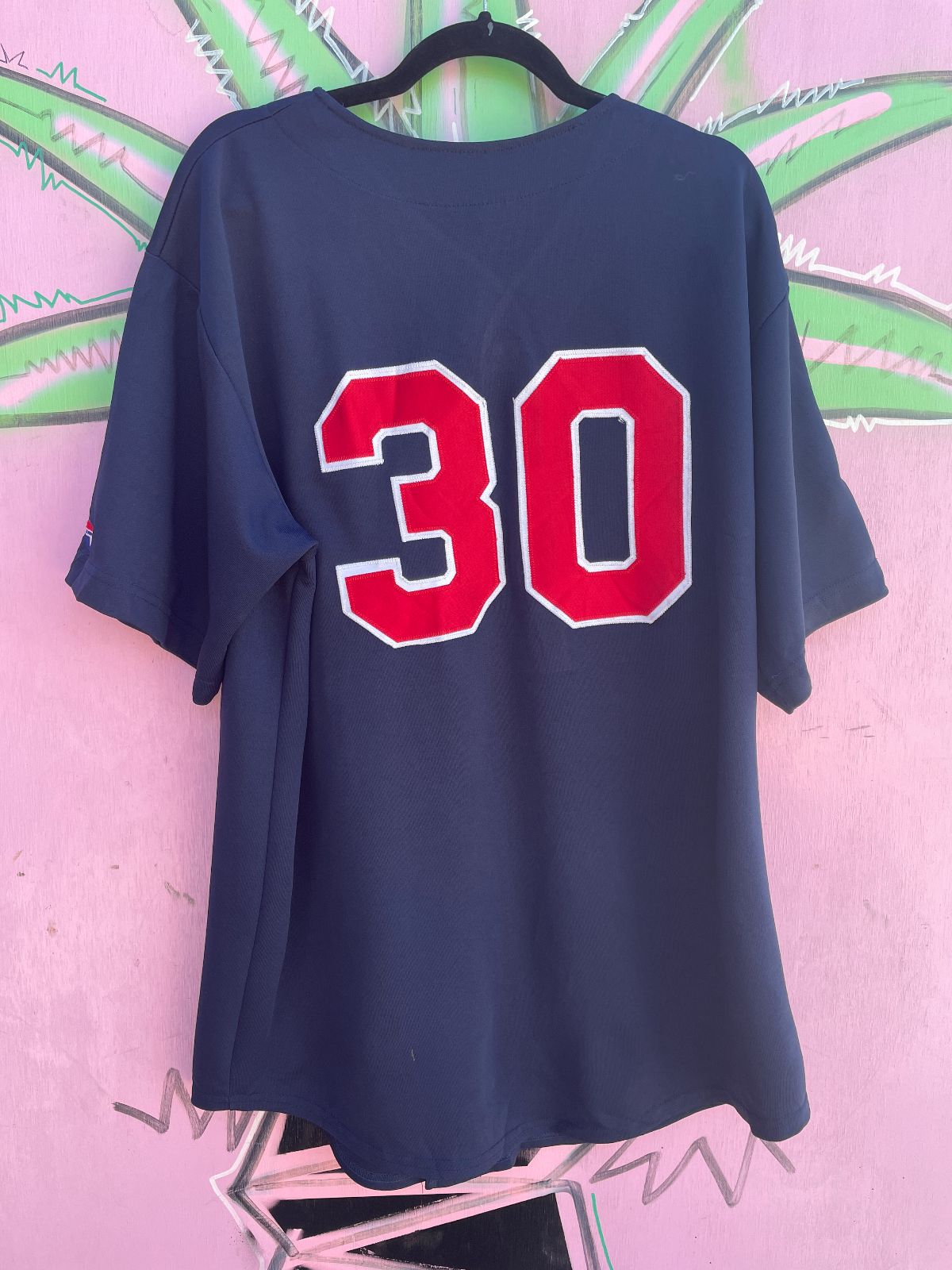 BLAZE BASEBALL #30 BUTTON UP EMBROID in BLUE, RED
