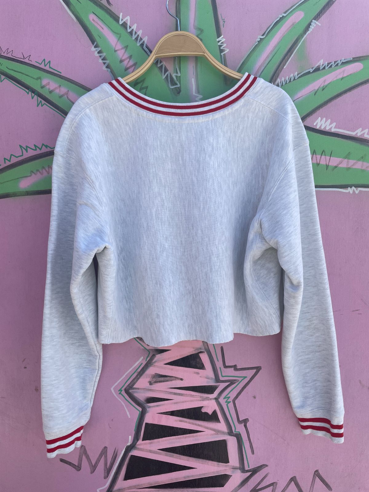 CHAMPION CROPPED HEATHER GREY REVERSE WEAVE V-NECK SWEATSHIRT, STRIPED COLLAR & CUFFS in GREY, RED
