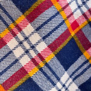 ADLER PLAID FLANNEL BUTTON UP SHIRT in BLUE, WHITE, RED, YELLOW