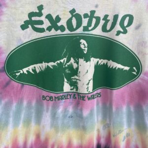 ZION COOL! BOB MARLEY & THE WAILERS EXODUS GRAPHIC PASTEL TIE DYE TSHIRT in GREEN