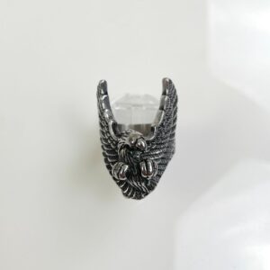 EAGLE RING HIGH POLISHED BLACKENED STAINLESS STEEL in SILVER