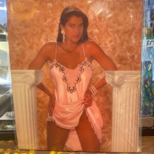 PLAYBOY PLAYBOY MAGAZINE - 1990 BOOK OF LINGERIE