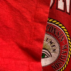 SATURDAYS HERO 1991 WISCONSIN UNIVERSITY SINGLE STITCH T-SHIRT BOXY FIT in RED, WHITE, GREEN