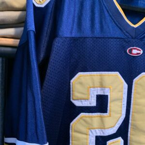 COLOSSEUM 1990S UCLA FOOTBALL JERSEY EMBROIDERED STITCHED LETTERS #26 in BLUE, GOLD