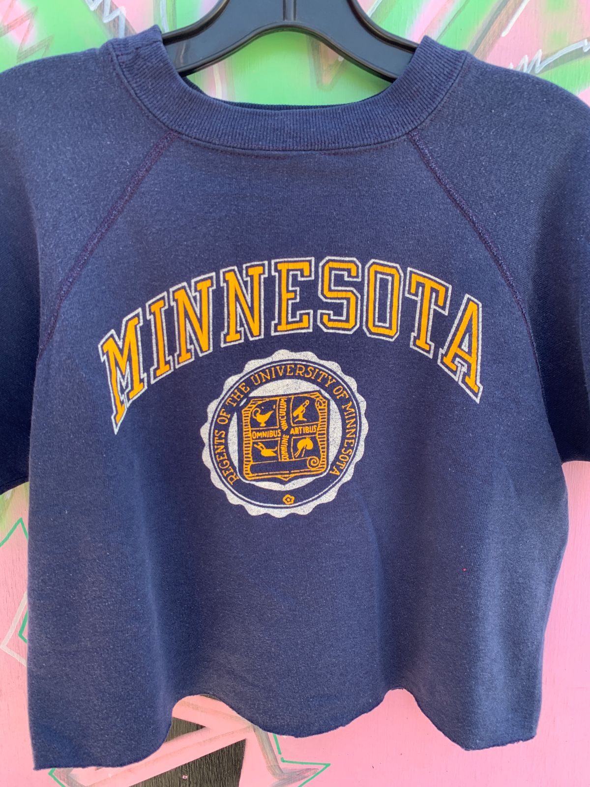 CUTE! MINNESOTA UNIVERSITY CROPPED SHORT SLEEVE SWEATSHIRT in BLUE, YELLOW