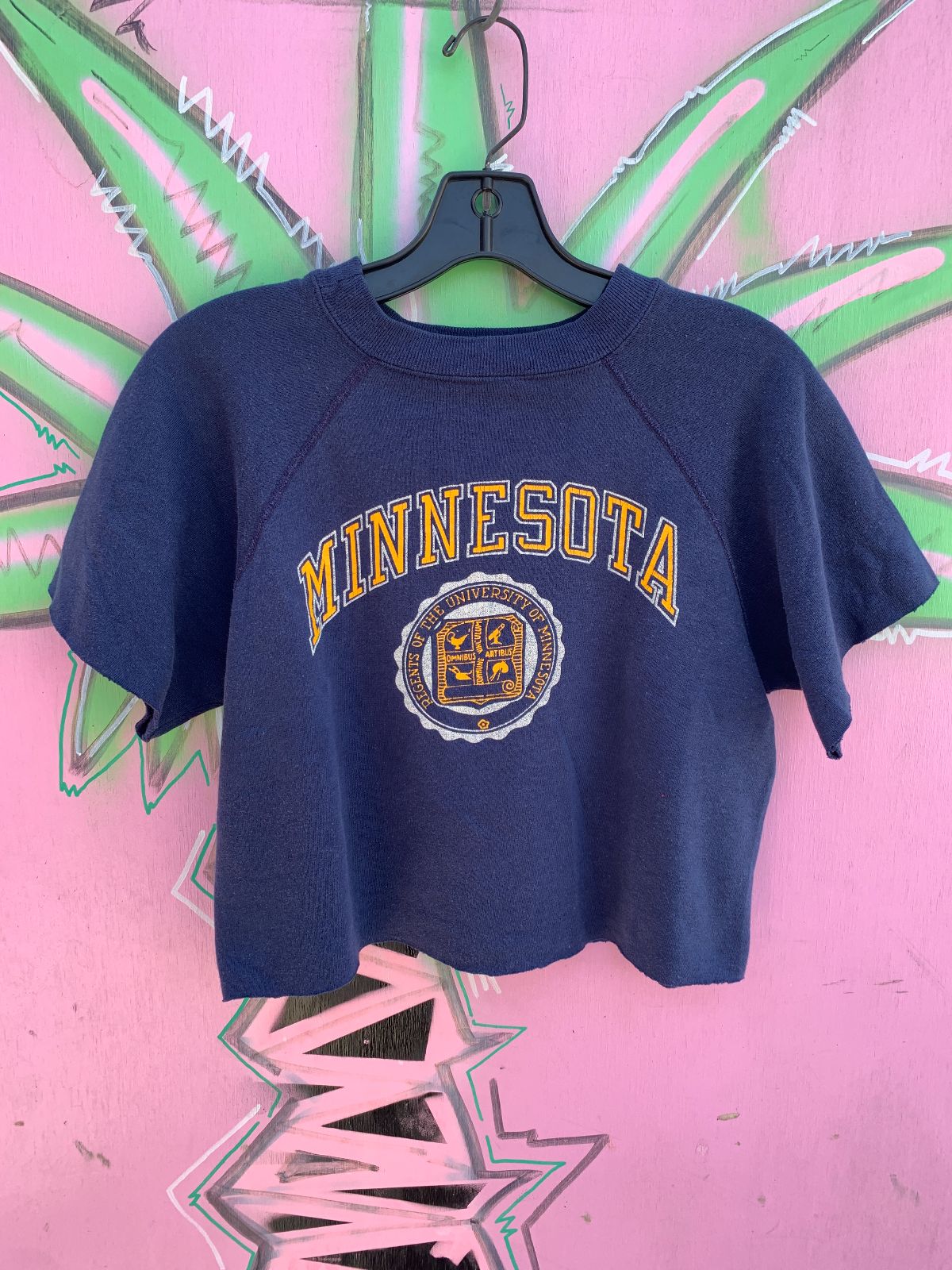 CUTE! MINNESOTA UNIVERSITY CROPPED SHORT SLEEVE SWEATSHIRT in BLUE, YELLOW