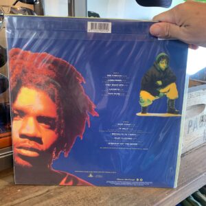 DAS EFX DEAD SERIOUS VINYL RECORD