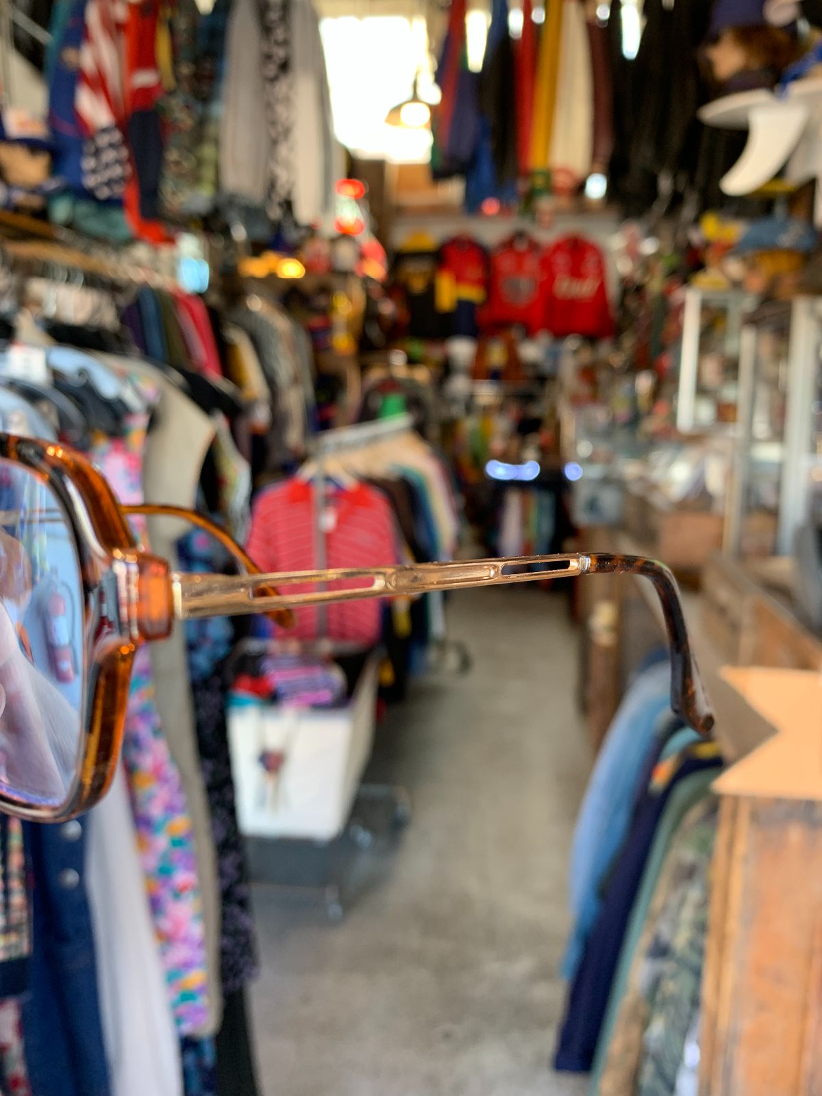 TORTOISE FRAME GOLD STEM WITH BLUE LENSES SUNGLASSES in TORTOISE