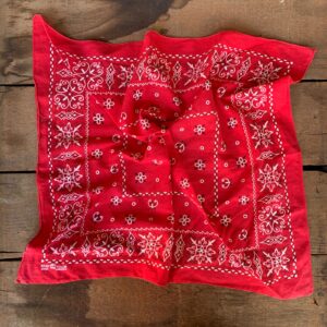 FAST COLOR ELEPHANT FADED PAISLEY BANDANA W/ ELEPHANT in RED